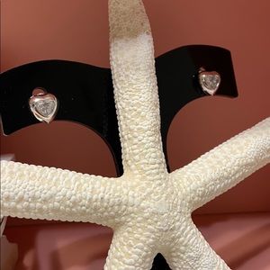 Chunky Hearts with center crystal Earrings